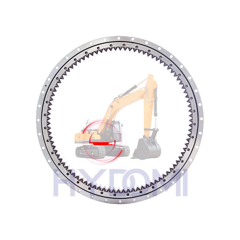 DH220-5 Slewing Bearing For Doosan Excavator Spare Parts Swing Circle Slew Ring OEM