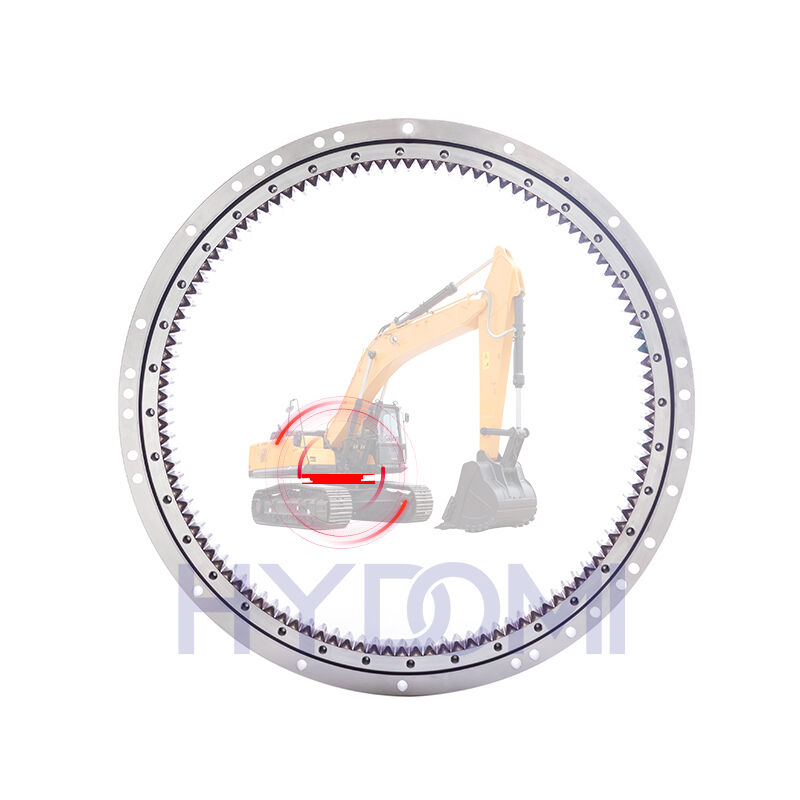 PC200-7 Slewing Bearing For Hitachi Excavator Spare Parts 207-25-61100 Swing Circle Slew Ring